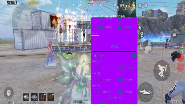 和平精英辅助软件的发展与影响分析